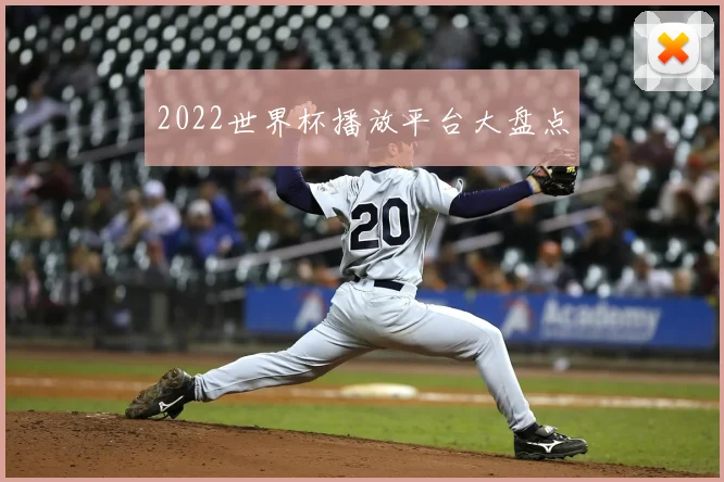2022世界杯播放平台大盘点
