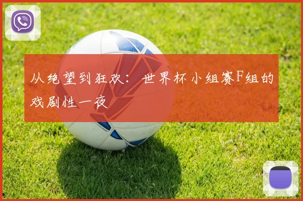 从绝望到狂欢：世界杯小组赛F组的戏剧性一夜