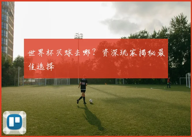 世界杯买球去哪？资深玩家揭秘最佳选择