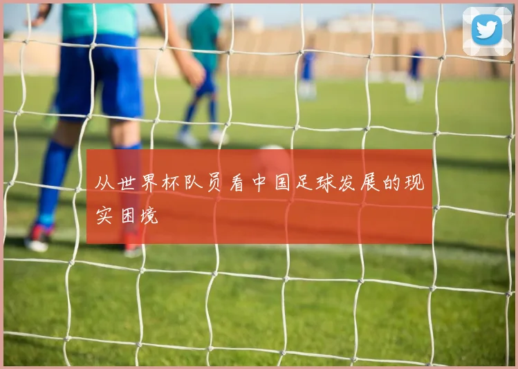 从世界杯队员看中国足球发展的现实困境