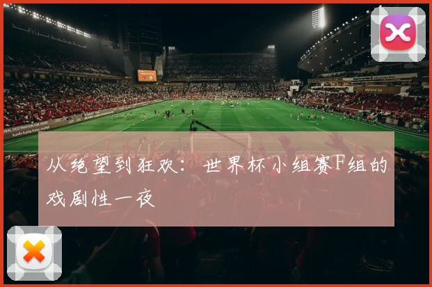 从绝望到狂欢：世界杯小组赛F组的戏剧性一夜
