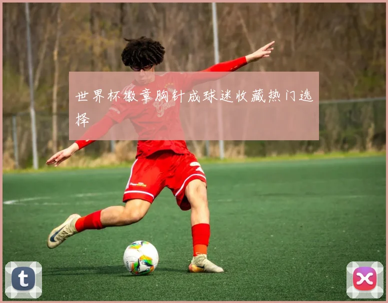 世界杯徽章胸针成球迷收藏热门选择