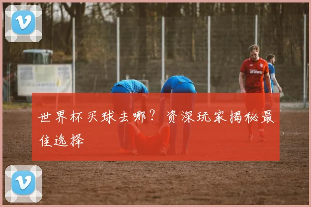 世界杯买球去哪？资深玩家揭秘最佳选择