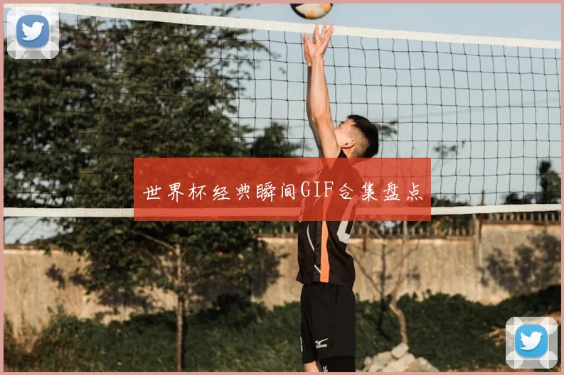 世界杯经典瞬间GIF合集盘点