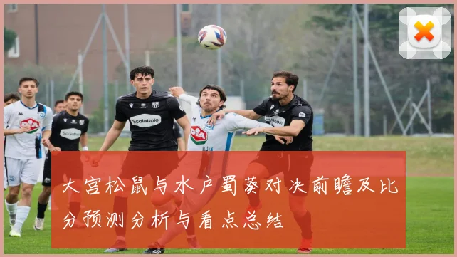 大宫松鼠与水户蜀葵对决前瞻及比分预测分析与看点总结