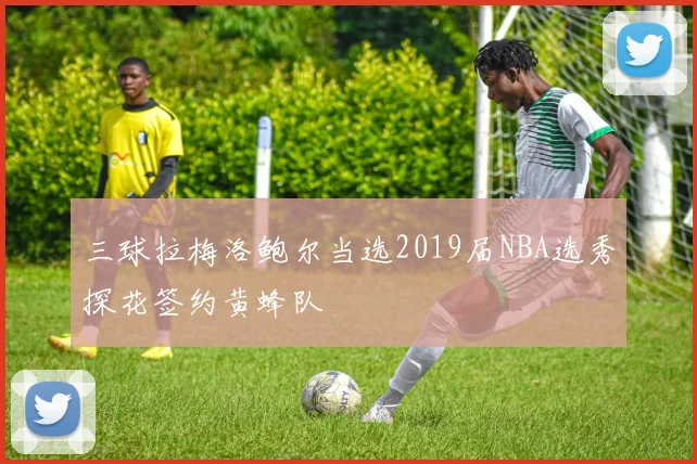 三球拉梅洛鲍尔当选2019届NBA选秀探花签约黄蜂队